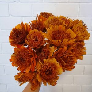 Narancs protea
