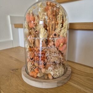 Szülőköszöntő búra - Barack