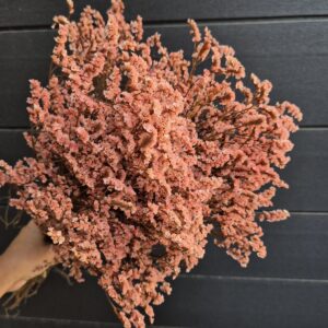 Tartósított limónium - rózsaszín