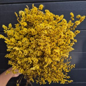 Tartósított limónium - sárga